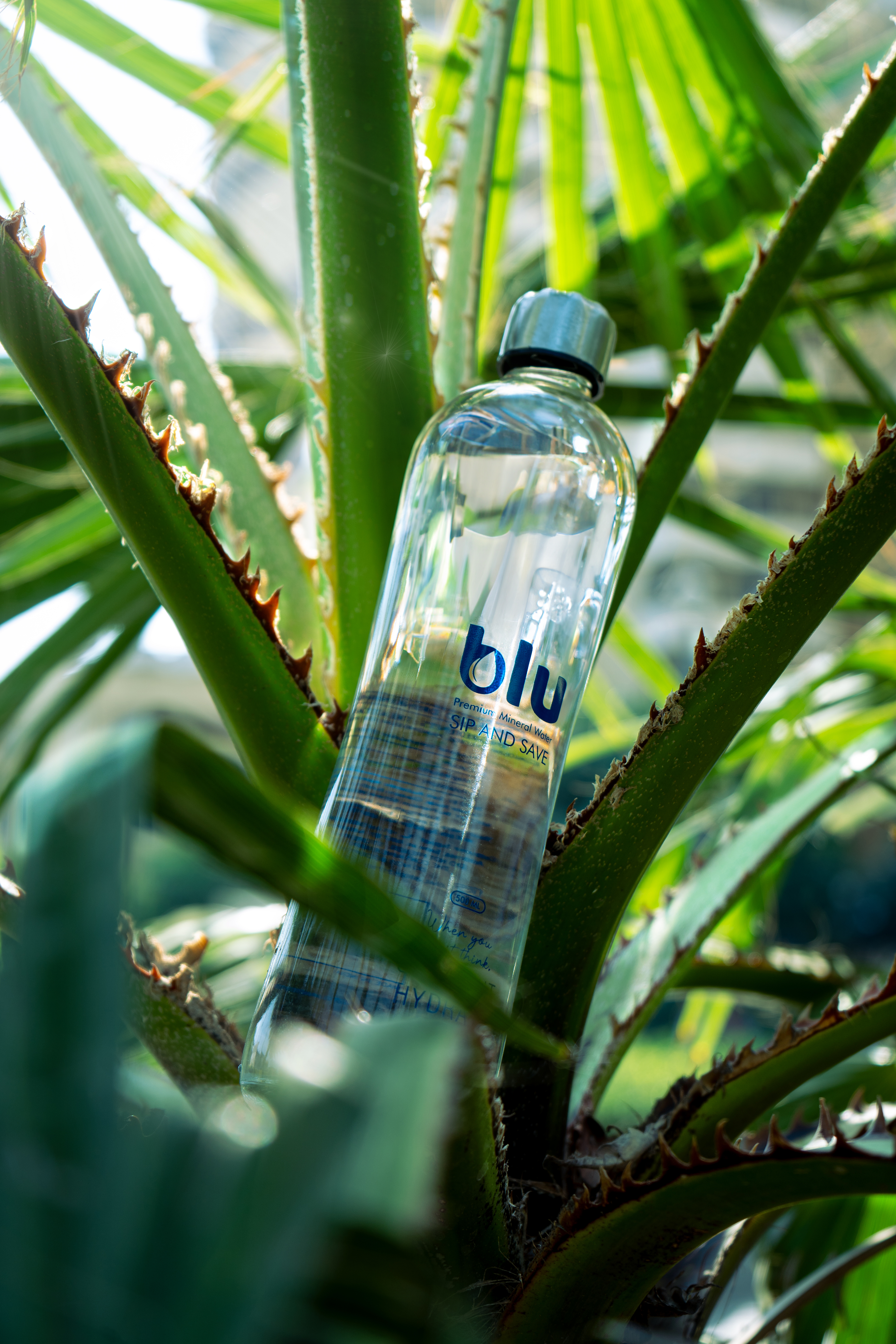 Blu Premium bottle nestled in tropical plants
